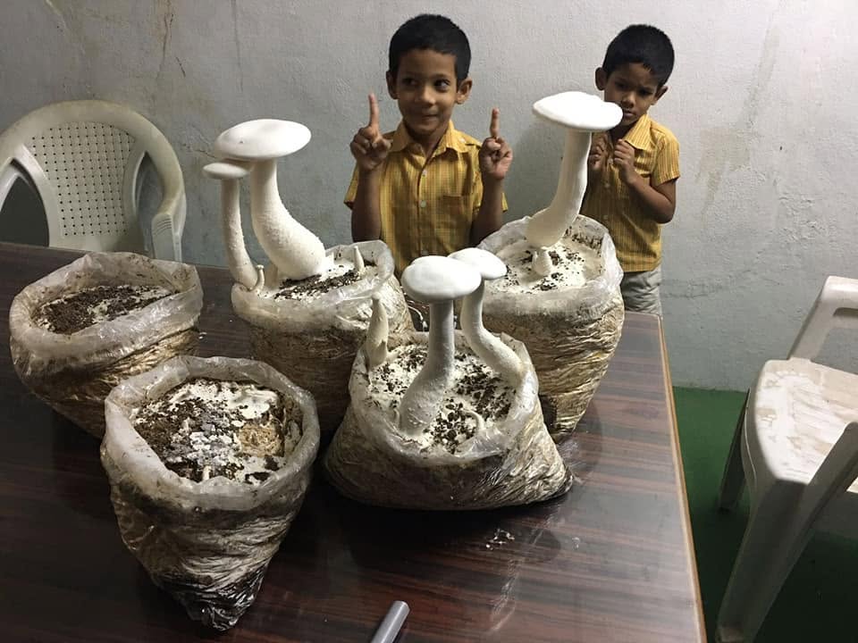 Student Collaboration